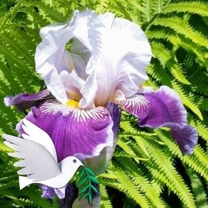 Meet your Posher, Glenda